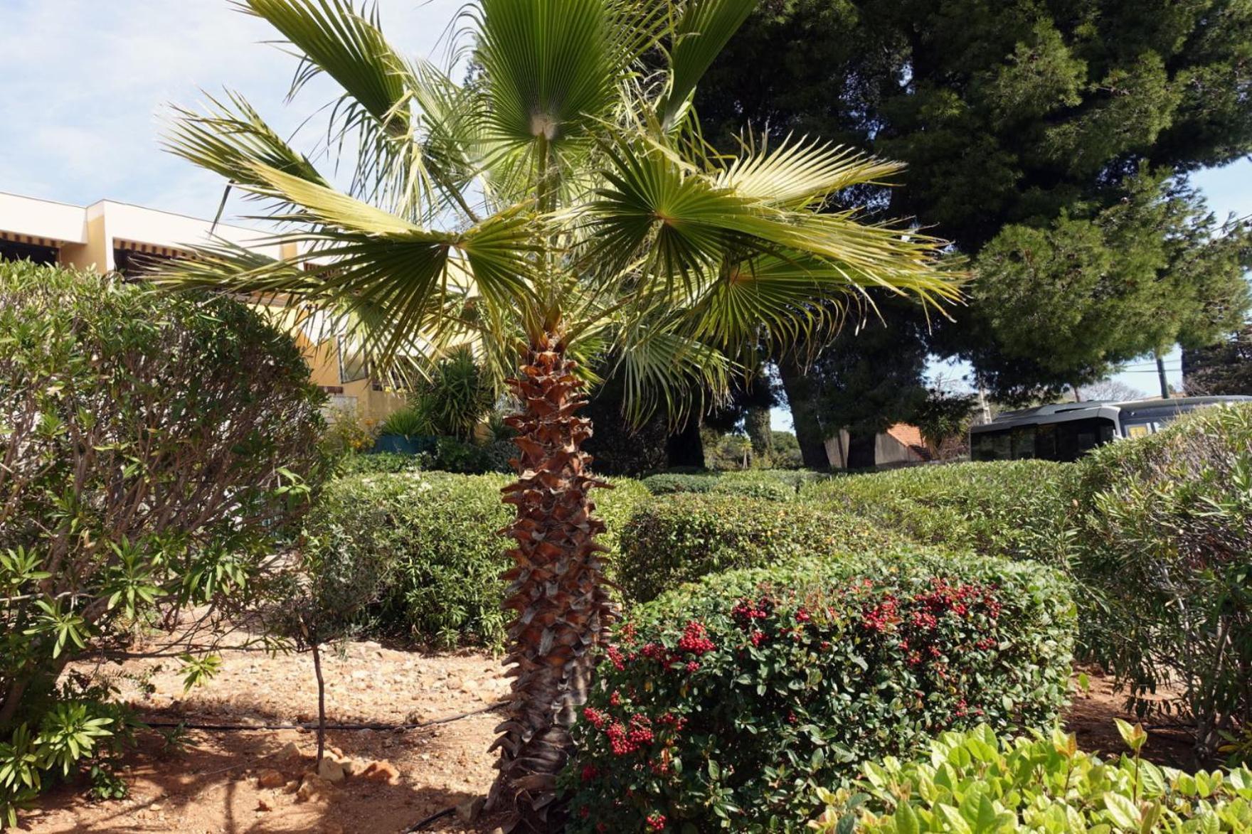 Les Jardins De Bandol, Piscine Privee, Belle Vue Mer المظهر الخارجي الصورة