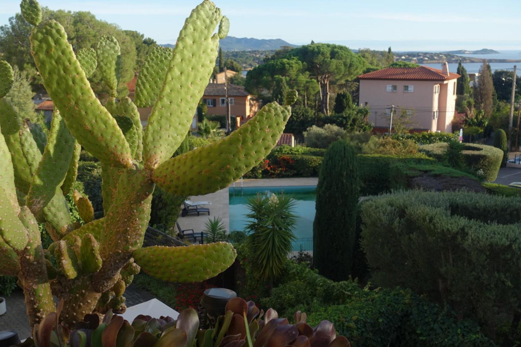 Les Jardins De Bandol, Piscine Privee, Belle Vue Mer المظهر الخارجي الصورة
